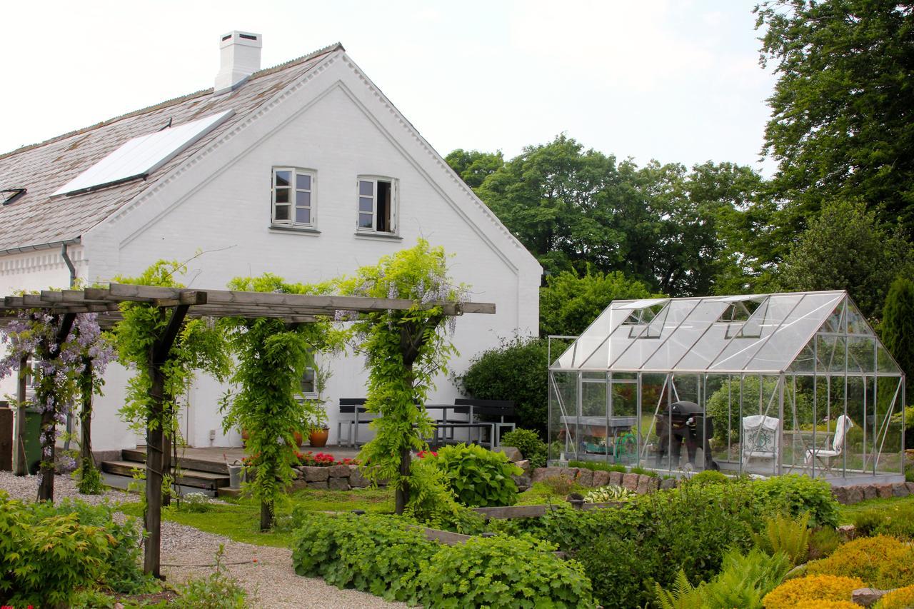 Bed and Breakfast Birkum Bb Exterior foto